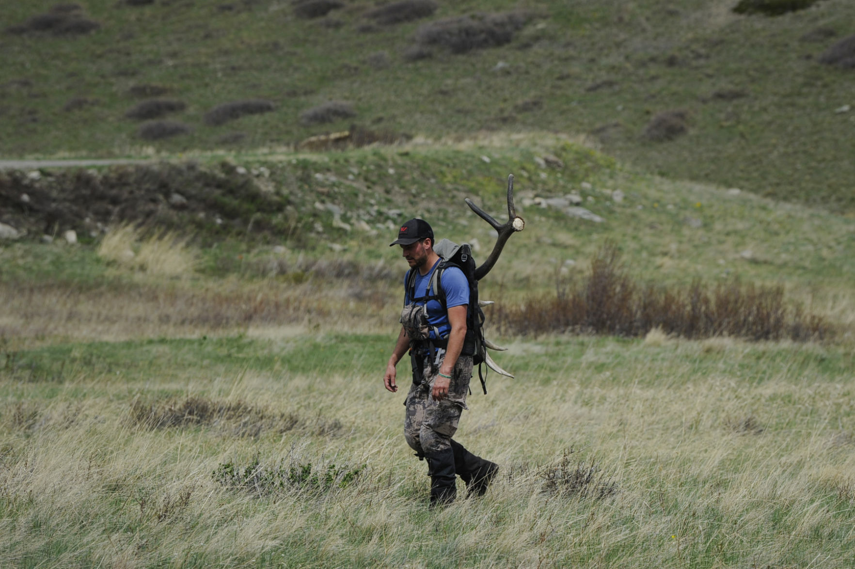 Sun River Shed Hunt